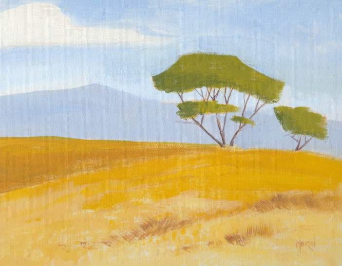 trees in the valley c